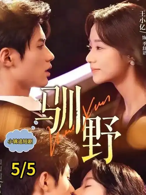 榜单第五名《漫长的季节》海报